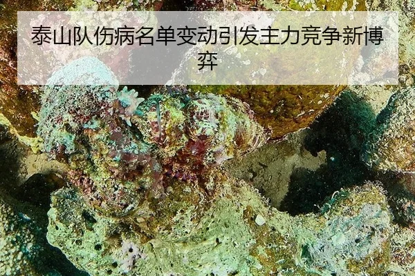 tai-shan-dui-shang-bing-ming-dan-bian-dong-yin-fa-zhu-li-jing-zheng-xin-bo-yi-2-865.jpg